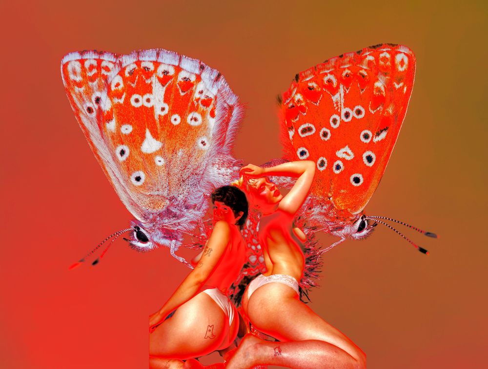 butterflyfantasy OnlyFans profile picture