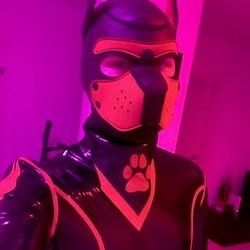 pupkami OnlyFans picture