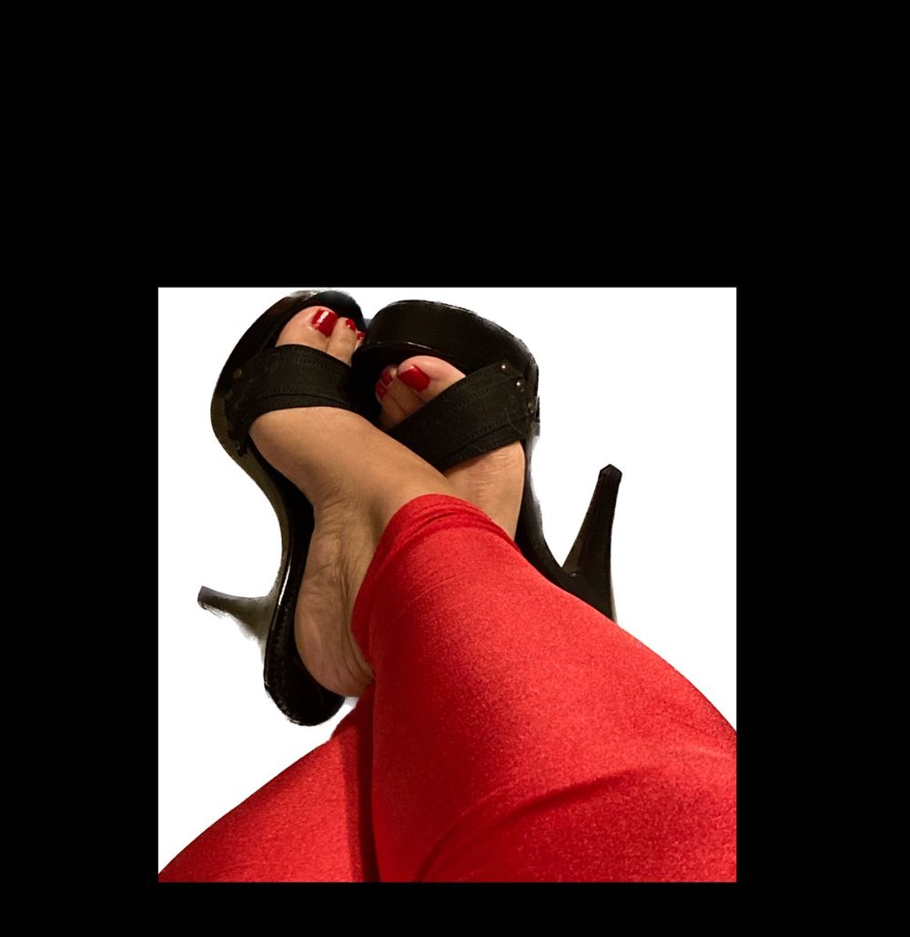 u337555331 OnlyFans profile picture