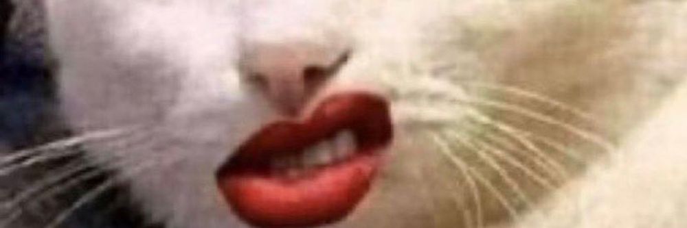 chickytendi OnlyFans profile picture