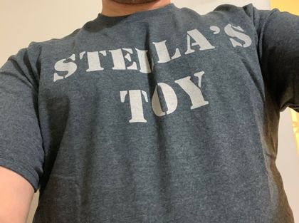 stellas_toy OnlyFans picture
