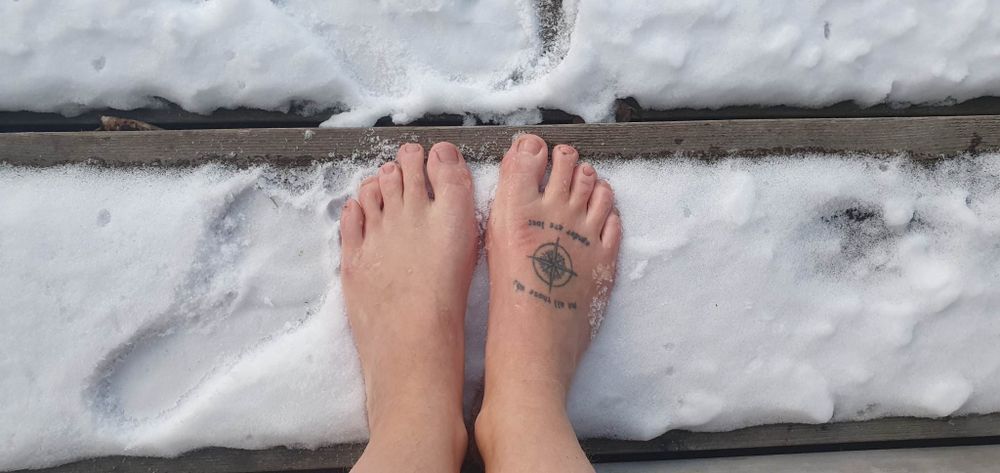 swedfootprincess OnlyFans profile picture