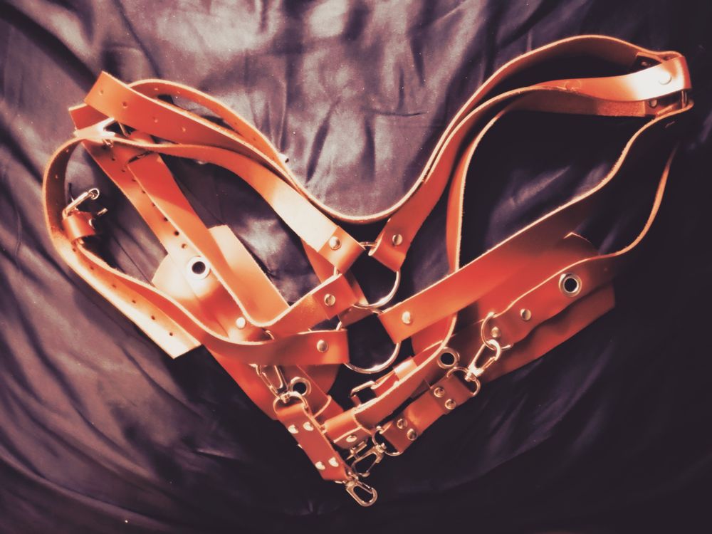 artemisanonymous OnlyFans profile picture