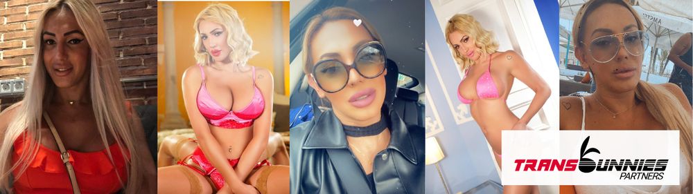 danamoore OnlyFans profile picture