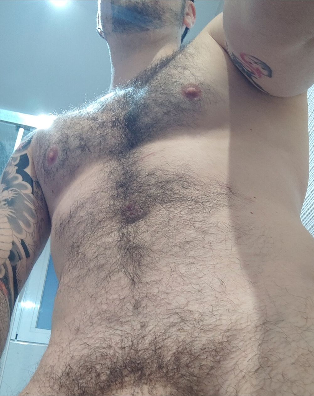 wolbert OnlyFans profile picture