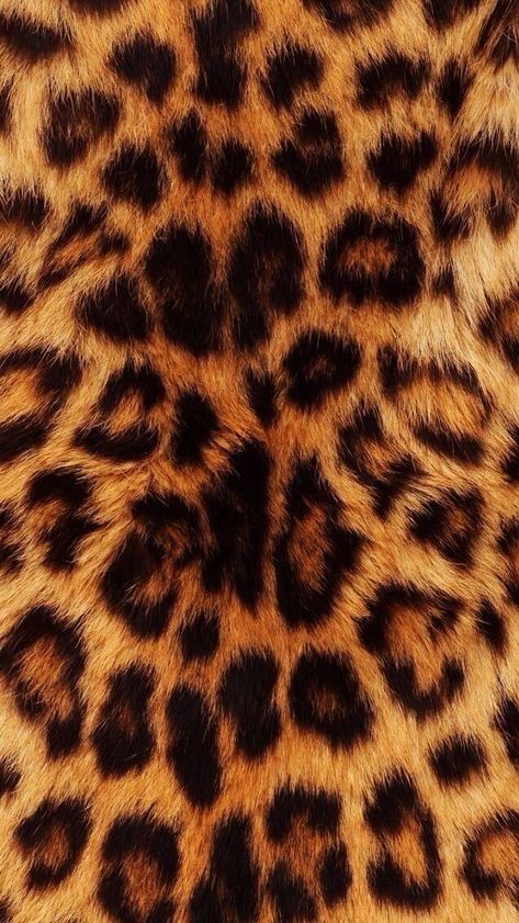 ainatrdzavl OnlyFans profile picture