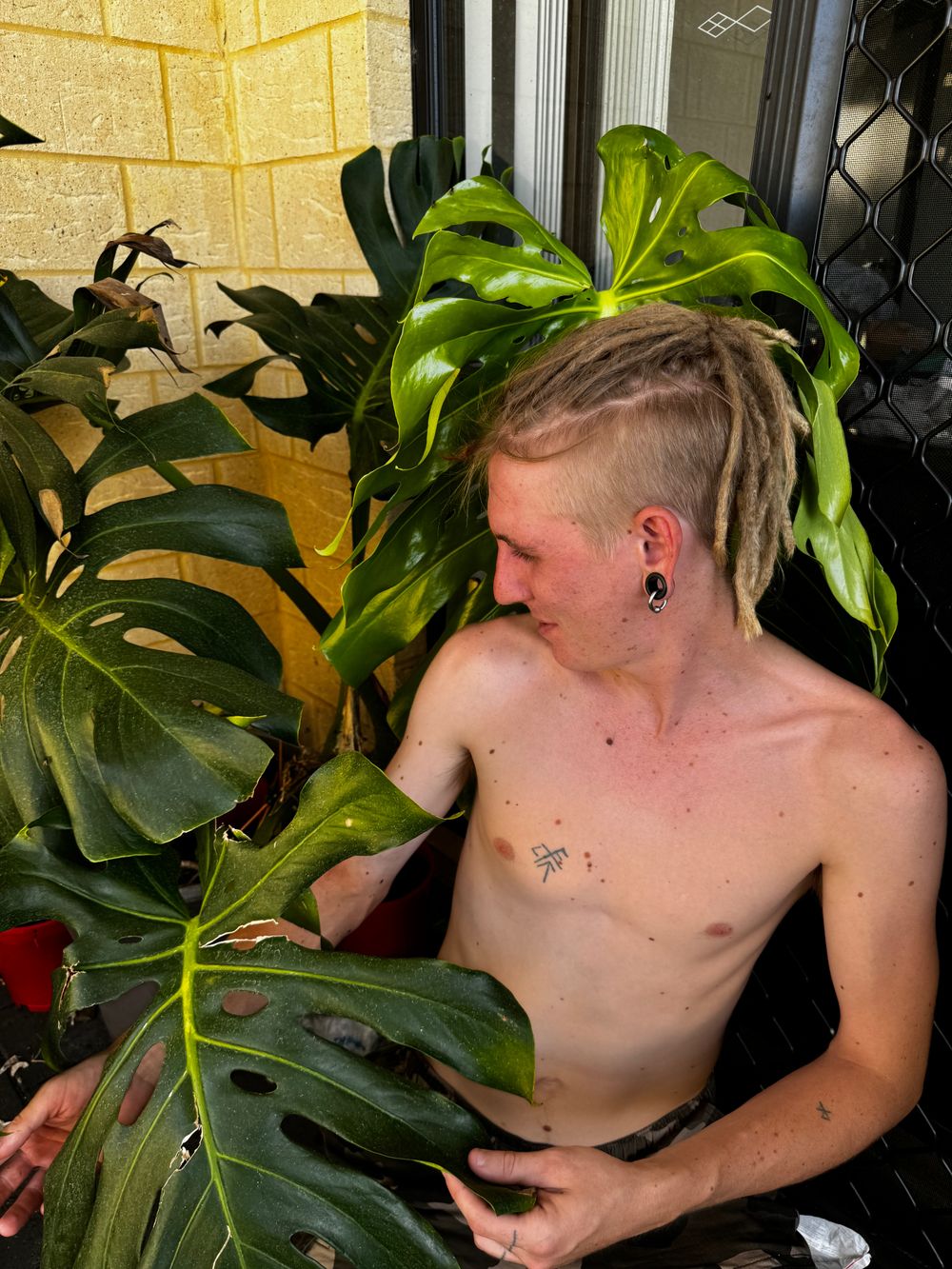 the.garden.daddy OnlyFans profile picture