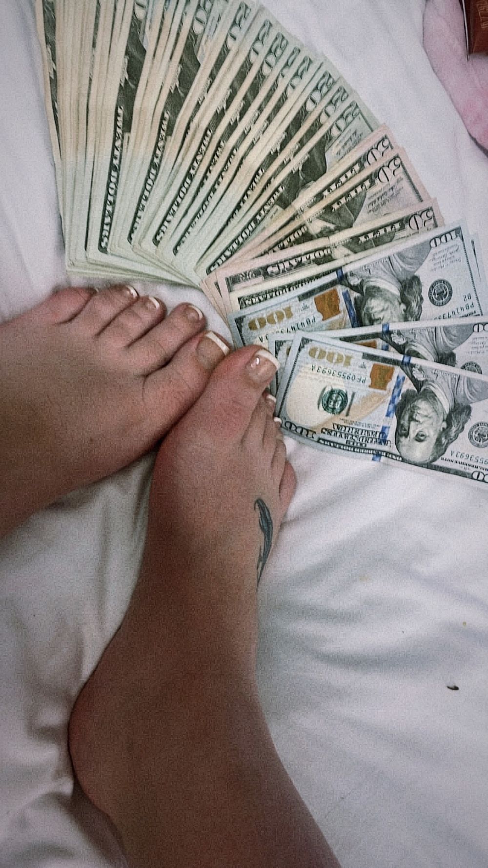 snowmoneypanda OnlyFans profile picture