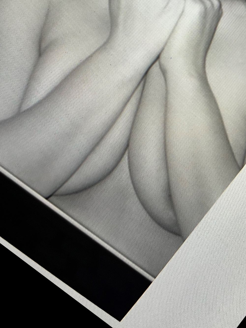 u254211174 OnlyFans profile picture