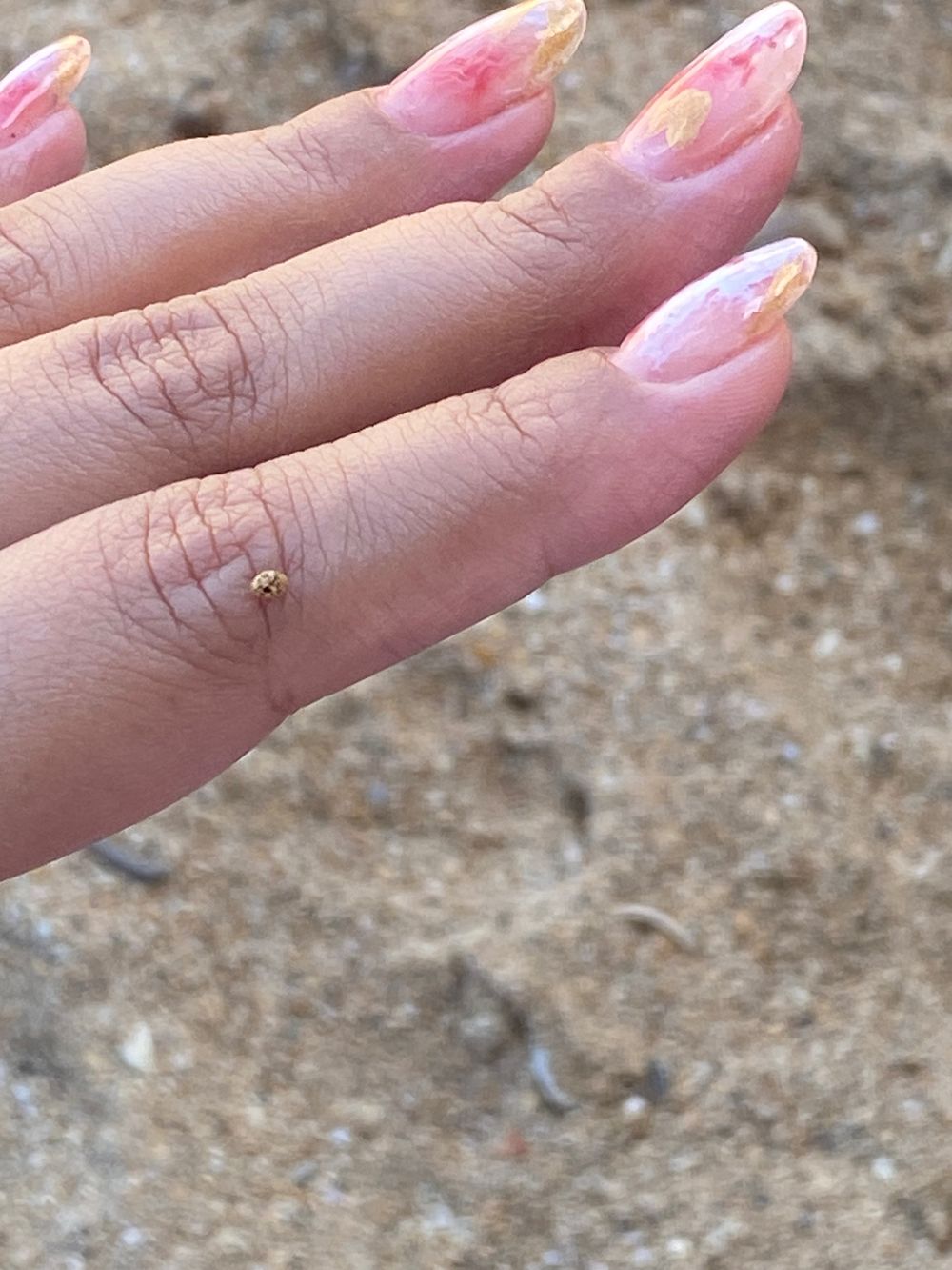 dirtyfeetanita OnlyFans profile picture