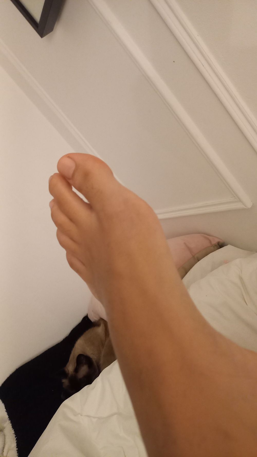 aninhadospes98 OnlyFans profile picture
