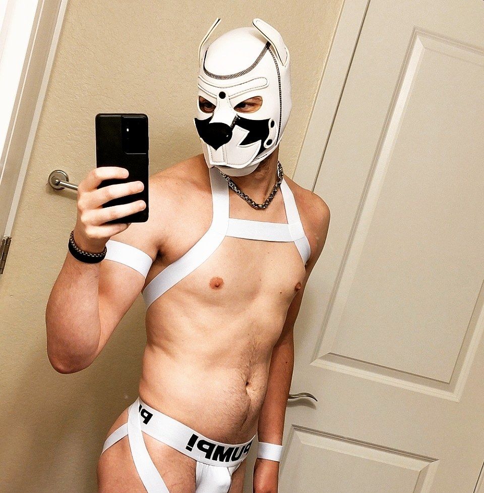 subpuppers OnlyFans profile picture