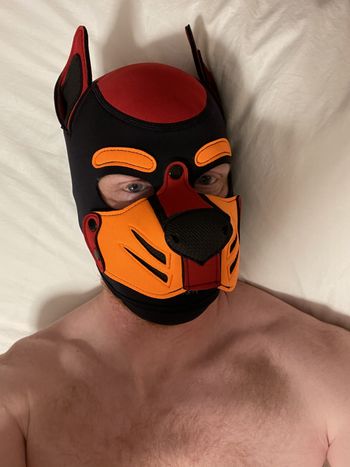 Gay Ginger