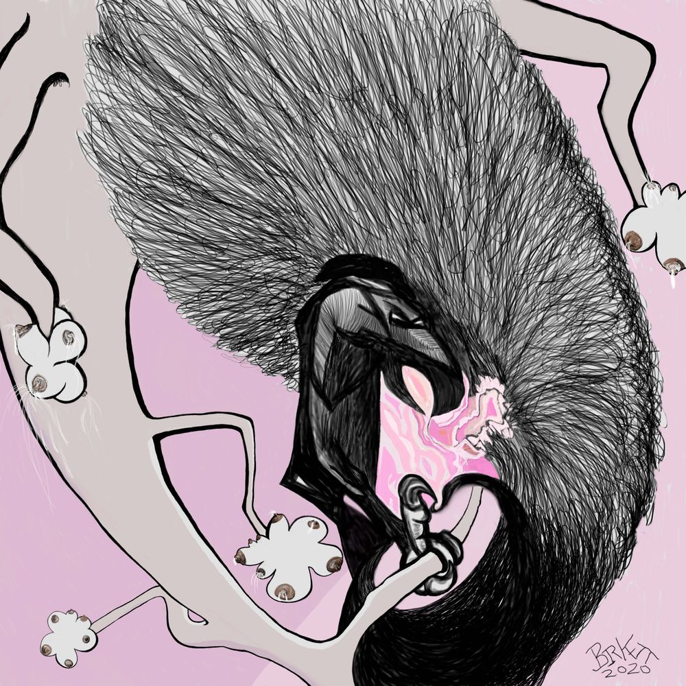 shadedbirkettarts OnlyFans profile picture