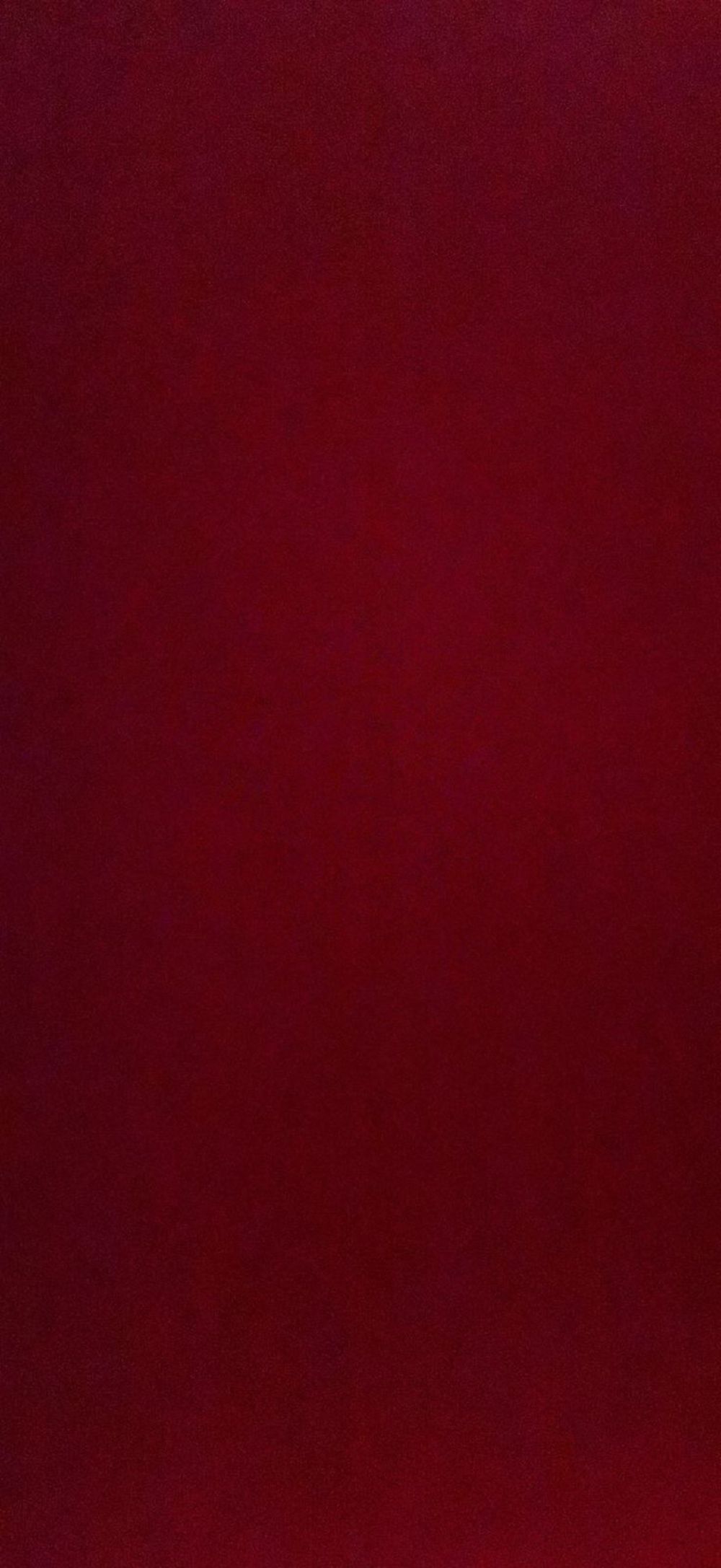 missonlyp OnlyFans profile picture
