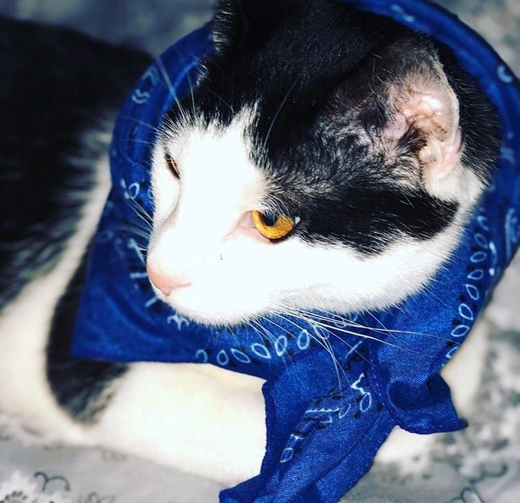 kruegagotfanz OnlyFans profile picture