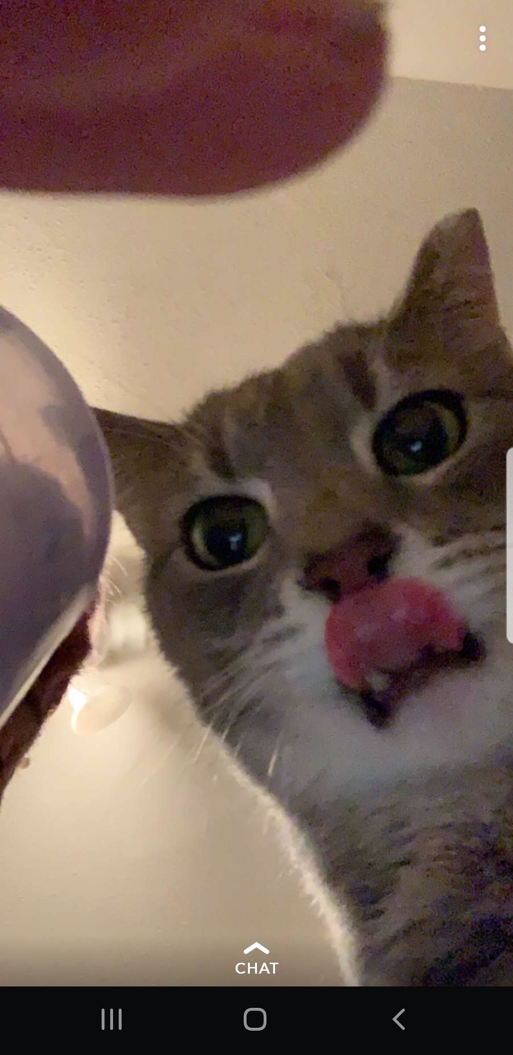 kittykj828 OnlyFans profile picture