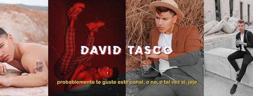 davidtas OnlyFans profile picture