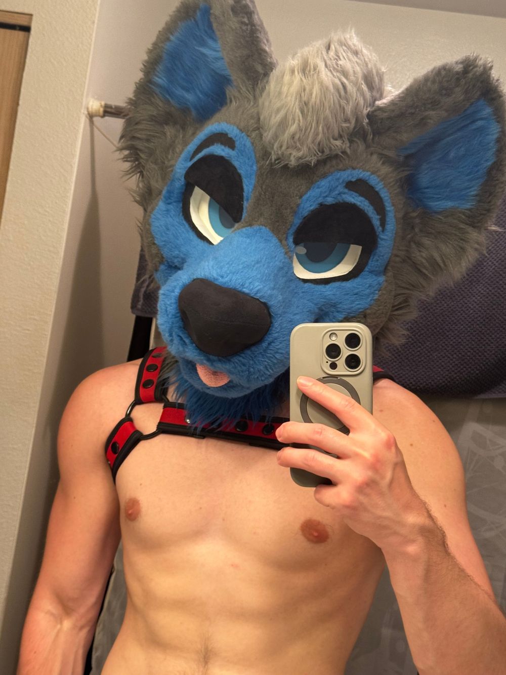 knottydogs OnlyFans profile picture