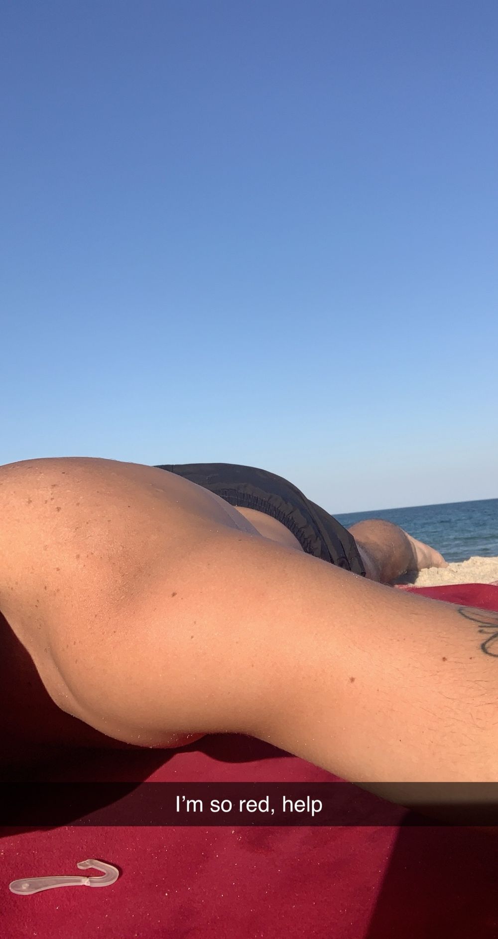 milodelucas OnlyFans profile picture
