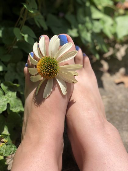 scarlettdonner OnlyFans picture