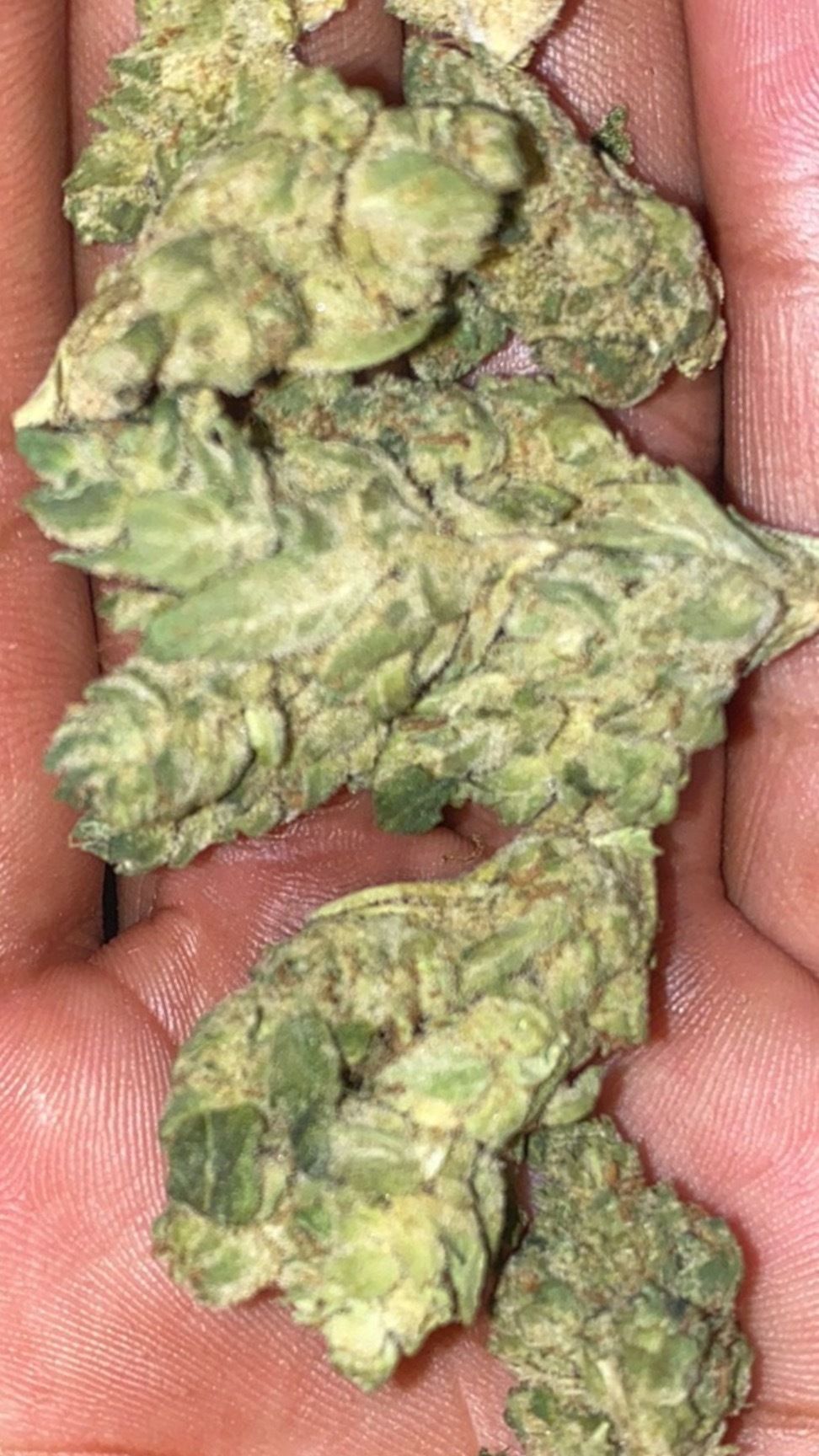 clitbussa OnlyFans profile picture
