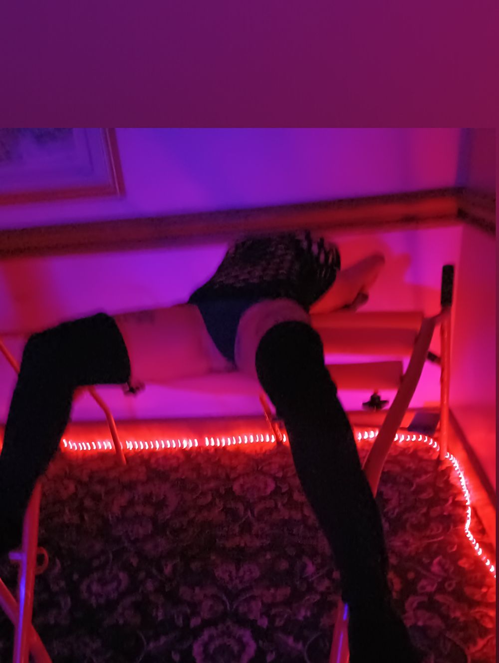tattedup1 OnlyFans profile picture