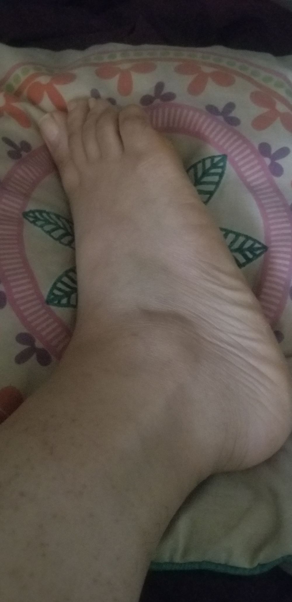 reneethelovely OnlyFans profile picture