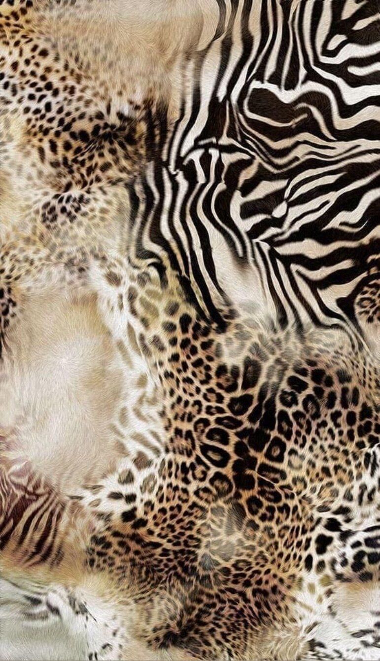 wise-illusion OnlyFans profile picture