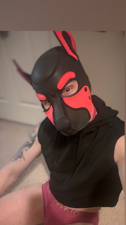 brinkthepup OnlyFans picture