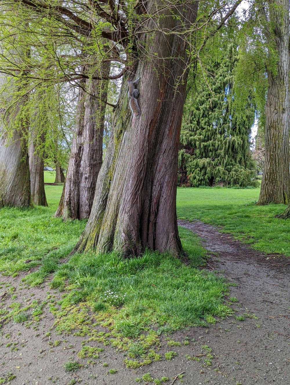 ermawoodland OnlyFans profile picture