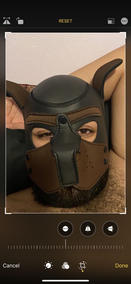 scruffysonasty OnlyFans picture