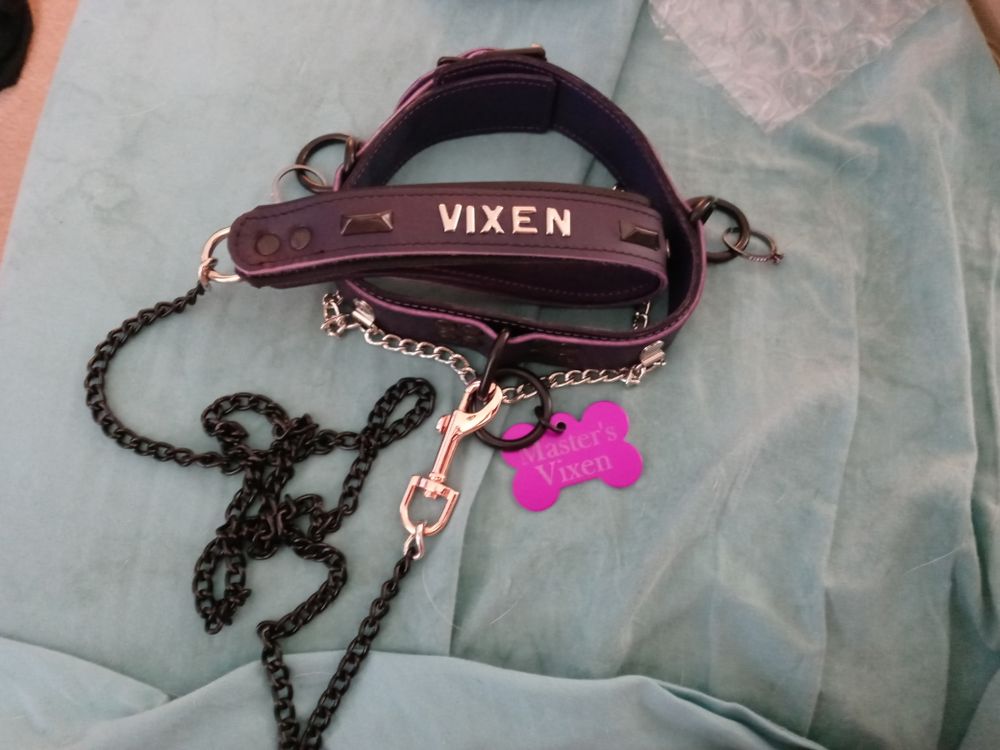 themaskedvixen19 OnlyFans profile picture