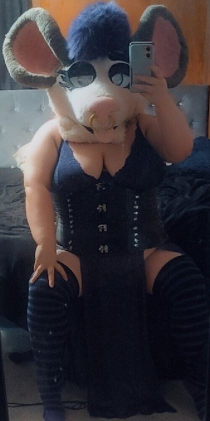 kittynikki316 OnlyFans picture