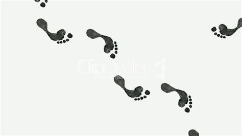 feetfordayz420 OnlyFans profile picture