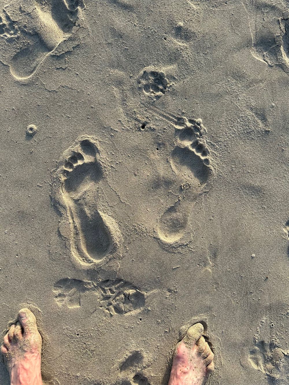 bigfoot_abroad OnlyFans profile picture