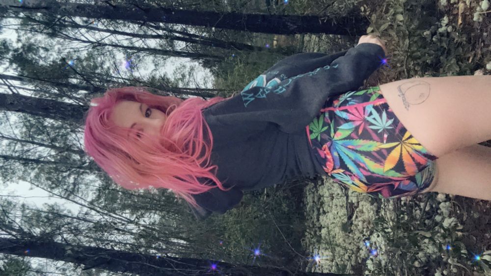 katelynsfans123 OnlyFans profile picture