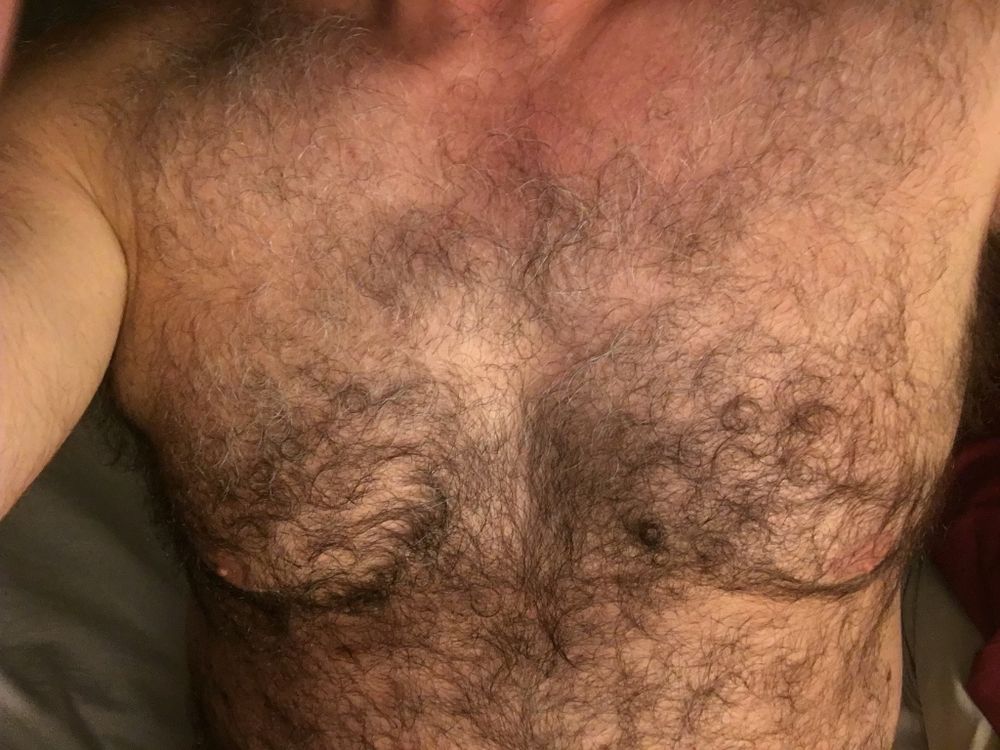 hairybeargrr OnlyFans profile picture