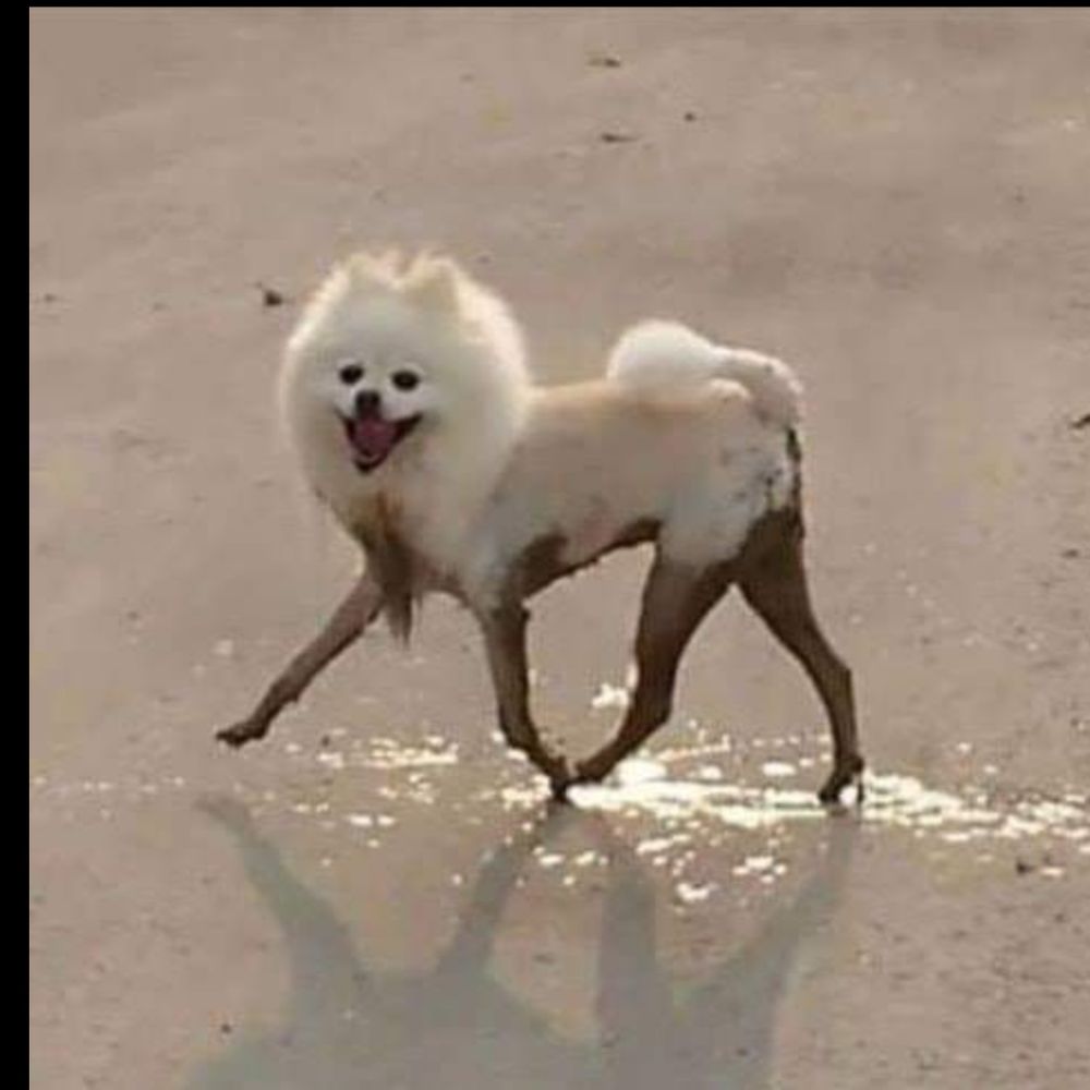 chrissyabides OnlyFans profile picture