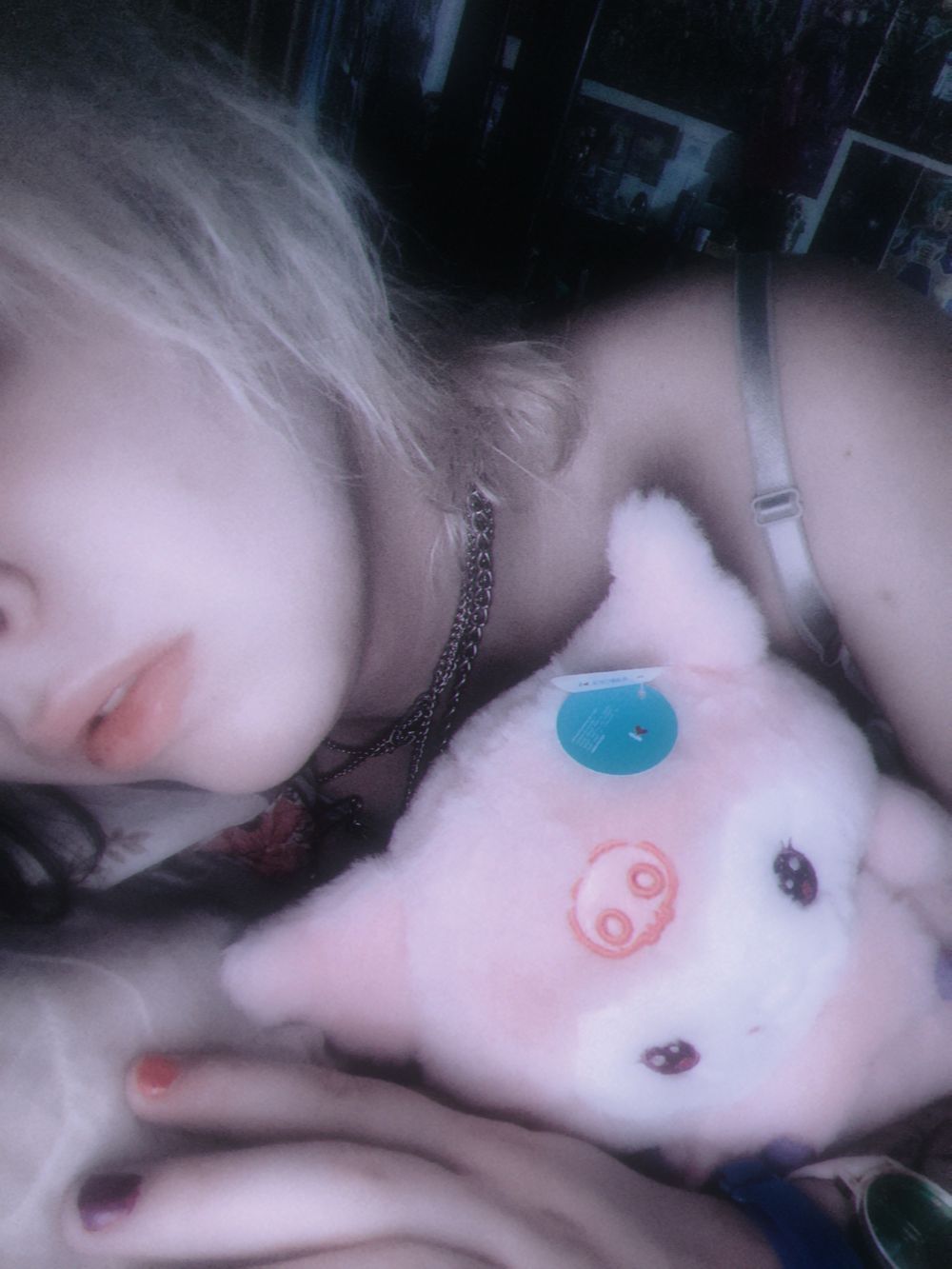 vaniakitty OnlyFans profile picture