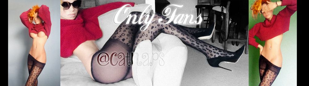 catnaps OnlyFans profile picture