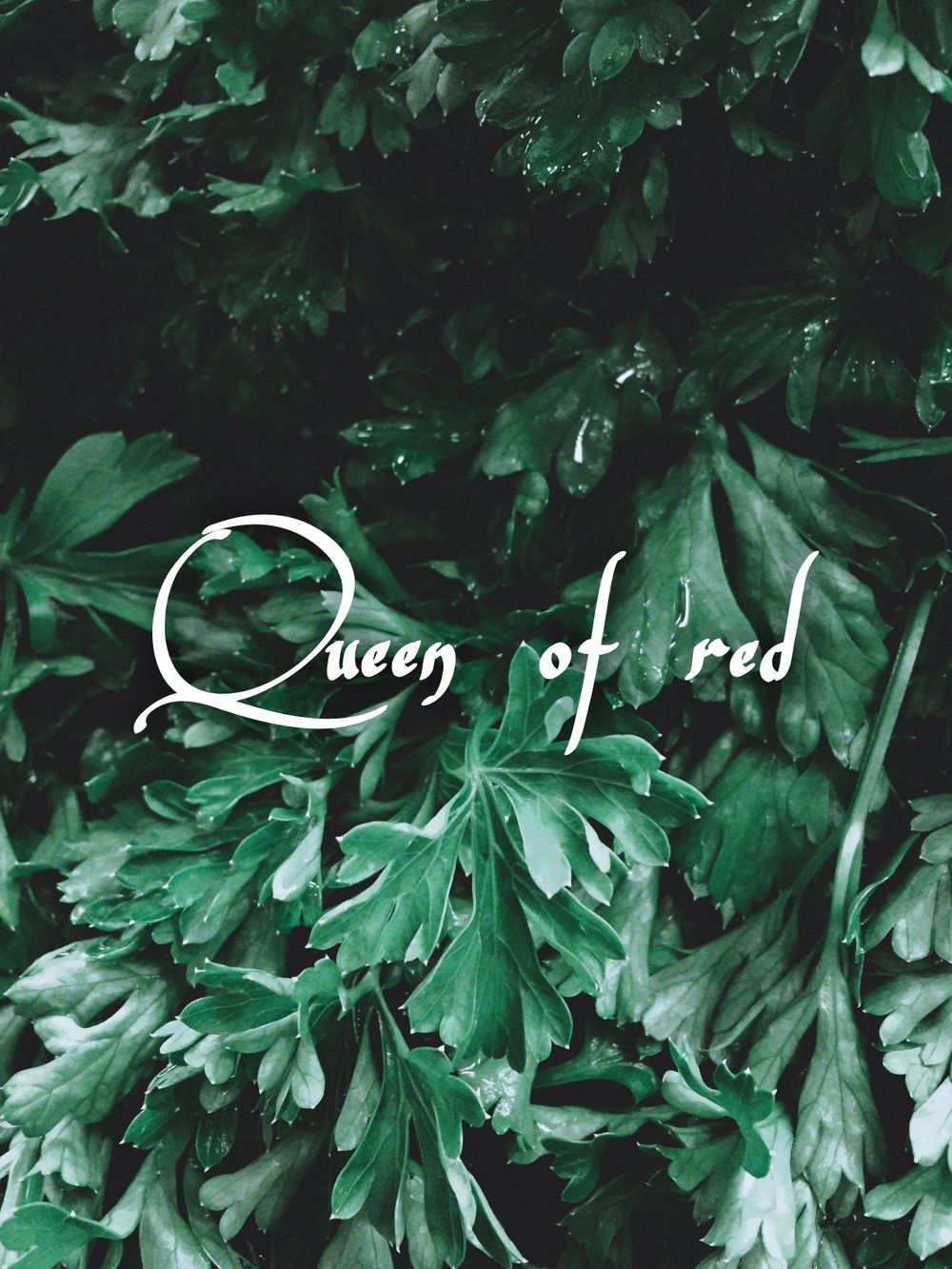 queenofred OnlyFans profile picture