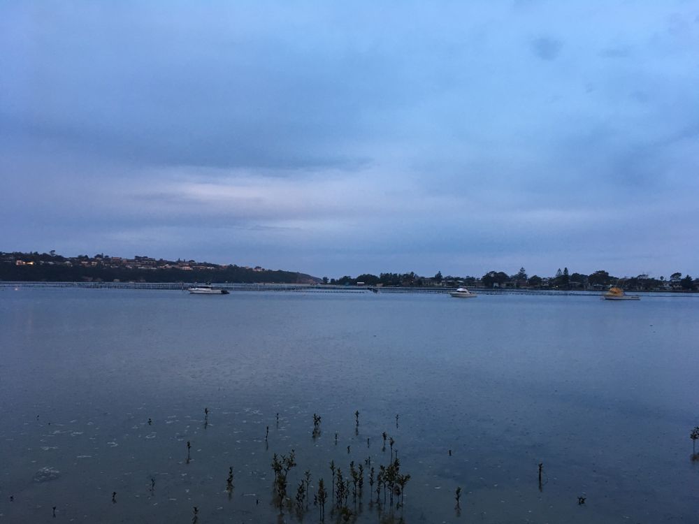 jamie_wilcox OnlyFans - Free Trial - XXX Photos | FansMetrics.com