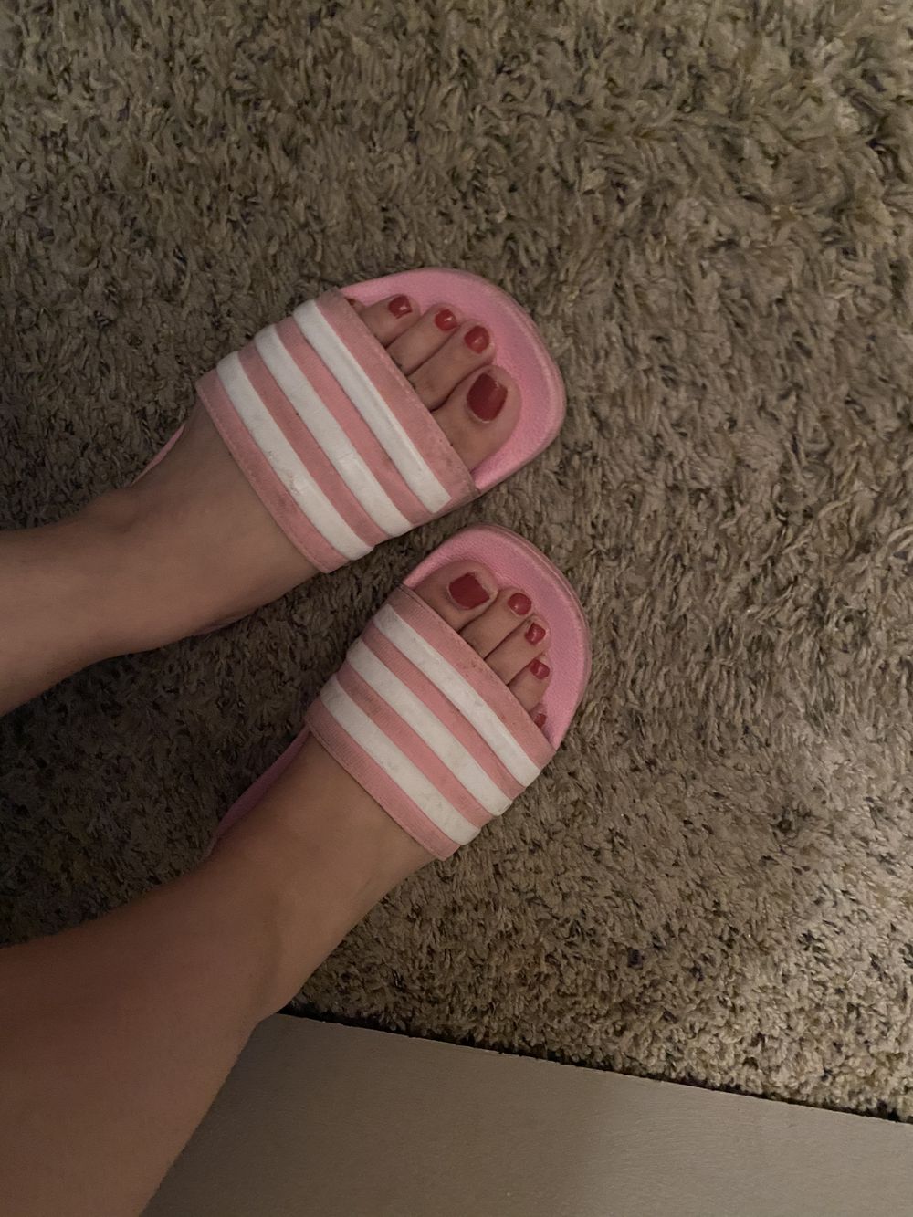 u41423429 OnlyFans profile picture