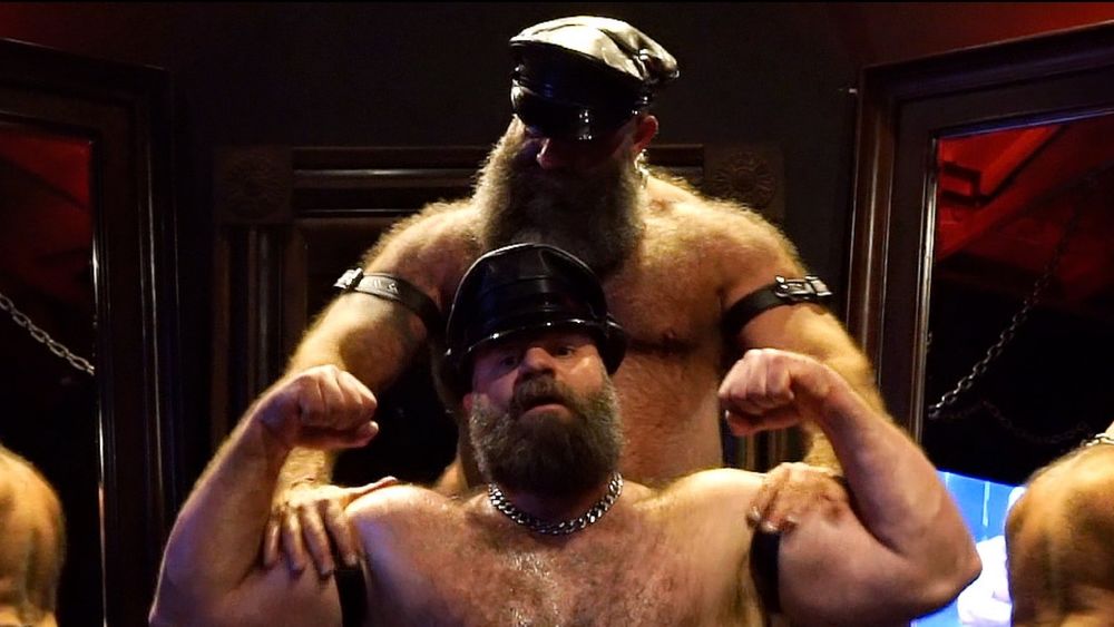musclebulls OnlyFans profile picture