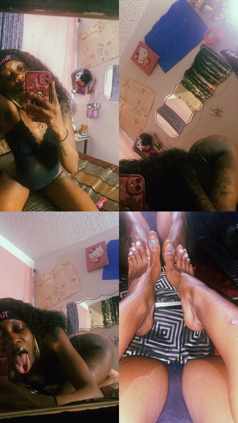 indicasworld OnlyFans profile picture