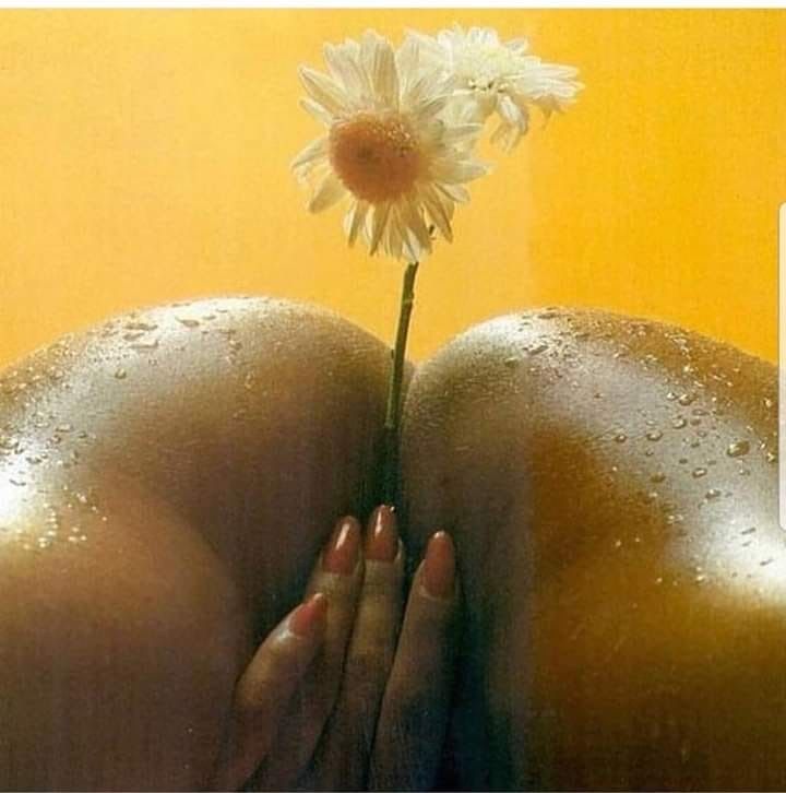 pizzafairy OnlyFans profile picture