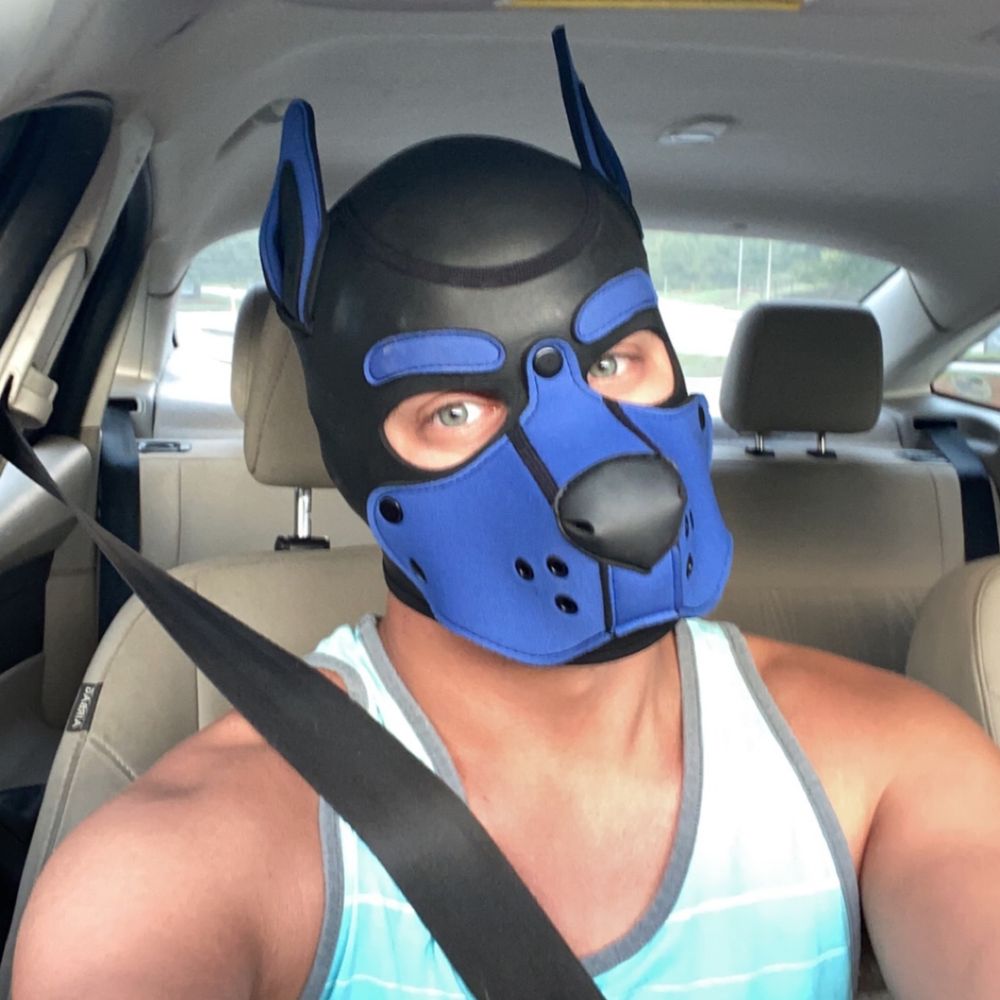 pupzeno OnlyFans profile picture