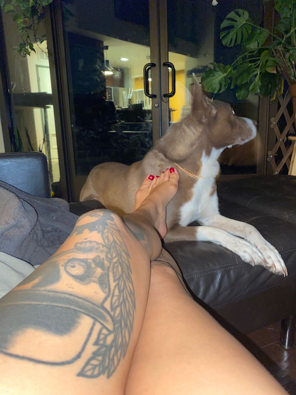 badbunions OnlyFans profile picture