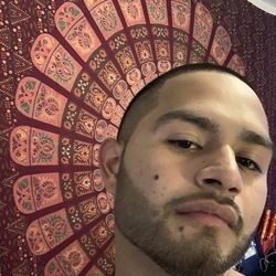 sflfawgs OnlyFans picture